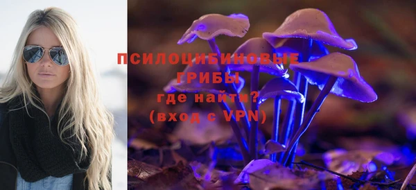 тгк Алексеевка