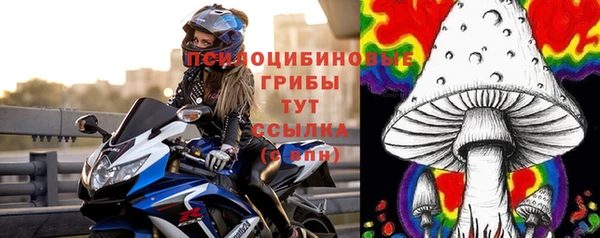 тгк Алексин