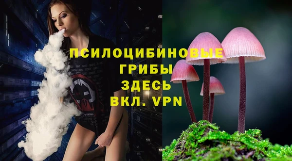 тгк Алексин