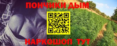 гидропоника Краснодар