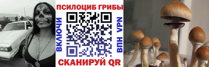 Псилоцибиновые грибы ЛСД  блэк спрут рабочий сайт  Углич  купить наркотик 