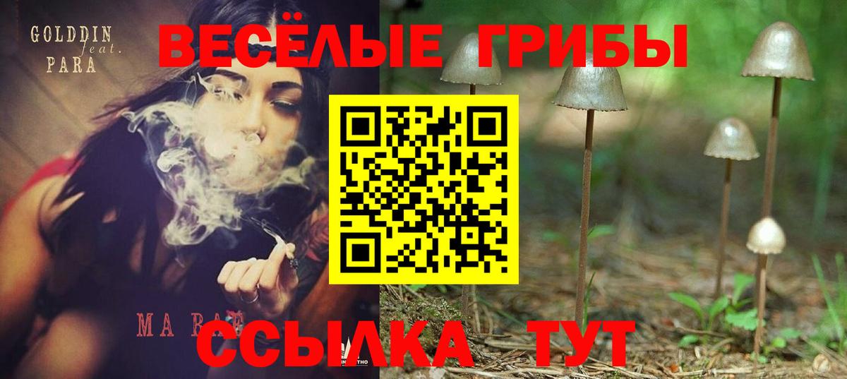Псилоцибиновые грибы мухоморы  наркошоп  Вход с VPN  Углич  Галлюциногенные грибы прущие грибы 